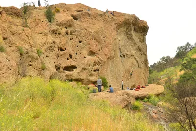 DSC_6334 (Large).JPG